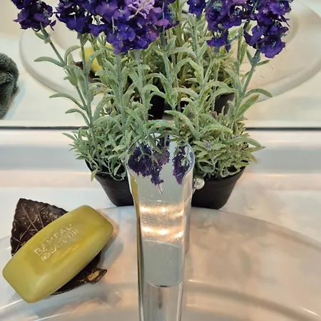 Near Paris & Versailles Premium With Terrace & Balcony In Greenery Le Plessis-Robinson